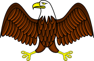 Bald Eagle.png